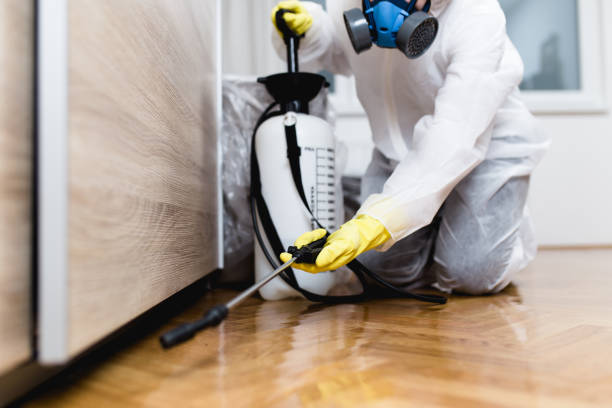 Best Wasp Removal Services  in Darby, PA