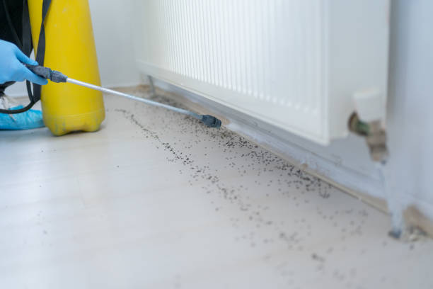 Best Local Pest Control Services  in Darby, PA